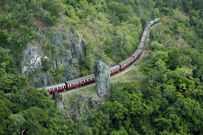 Sightseeing Kuranda Self-Driving Tour - Rainforest Cableway Experience