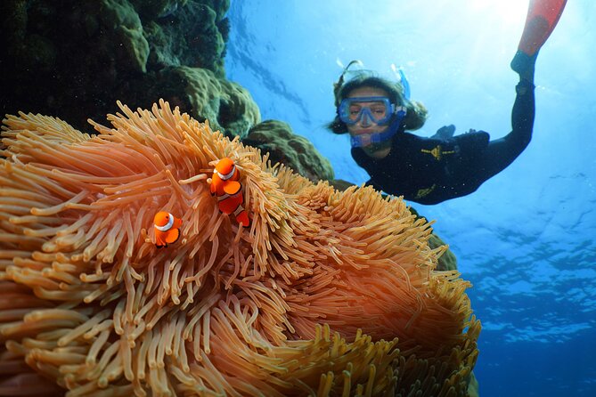 Silversonic Outer Great Barrier Reef Cruise From Port Douglas - Cruise Itinerary and Schedule