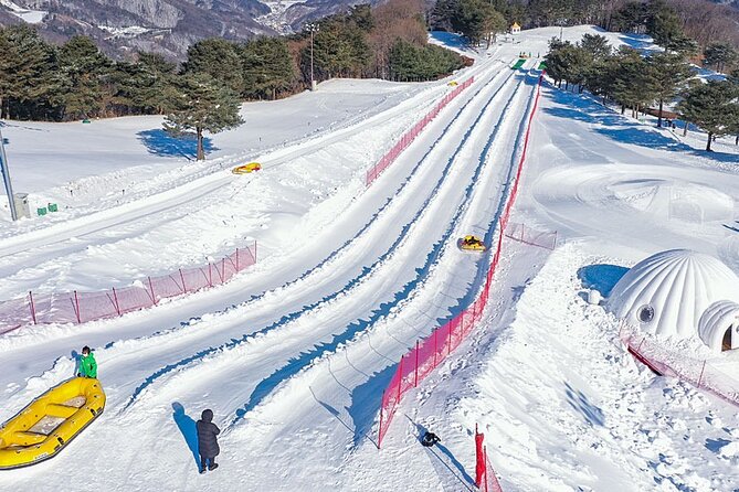 Ski /Taegwondo/Seoul (6D5N) - Itinerary Highlights and Schedule