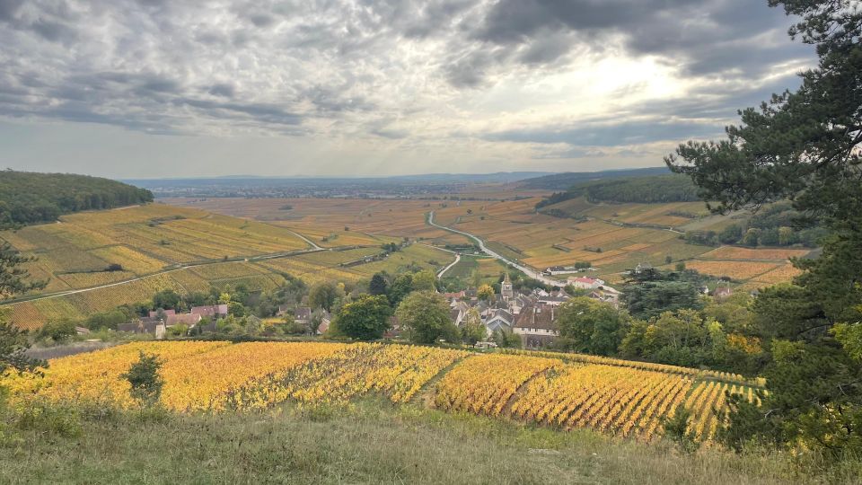 Small Group Tour Morning in Côte De Beaune - Tour Duration and Languages