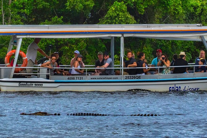 Solar Whisper Daintree River Crocodile and Wildlife Cruise - Eco-Friendly Solar Powered Boat