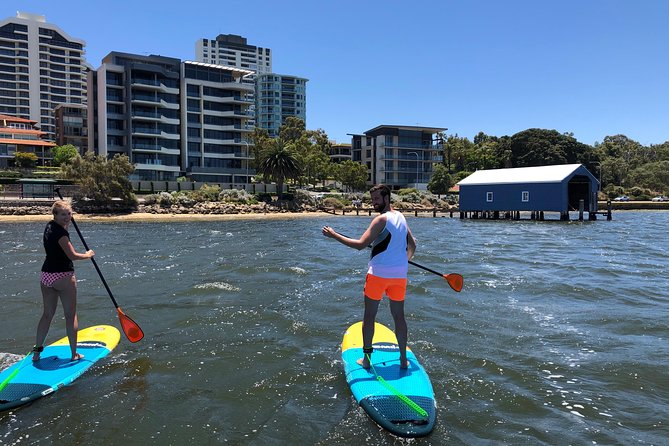 Stand Up Paddle Board Hire - What to Expect on the Water