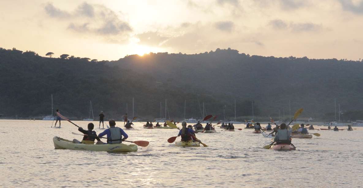 Sunset Trip Kayak Tour in the Gulf of Saint-Tropez - Unwind With a Sunset Paddle