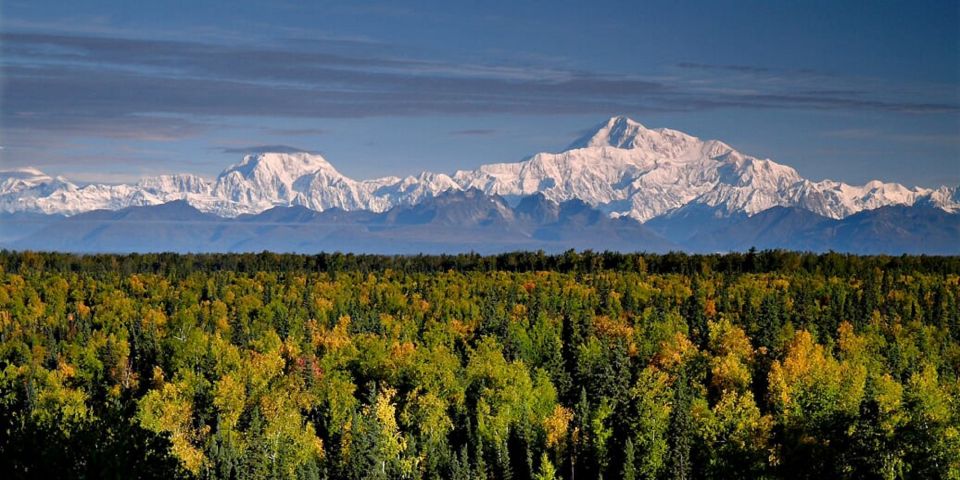 Talkeetna: Zipline Tour - Experience Highlights