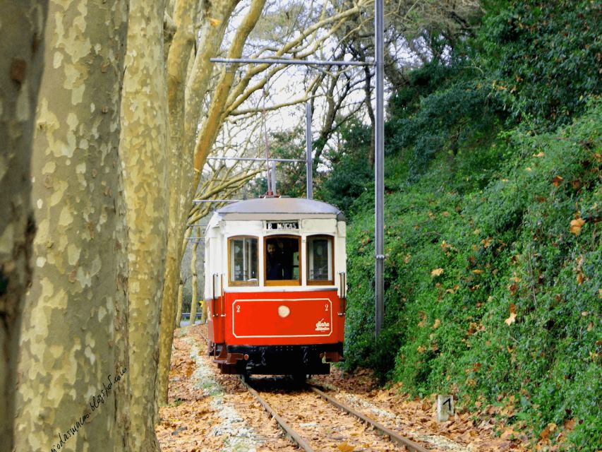 Taste of Sintra's Wonders Wine&Tapas Private Tour - Itinerary