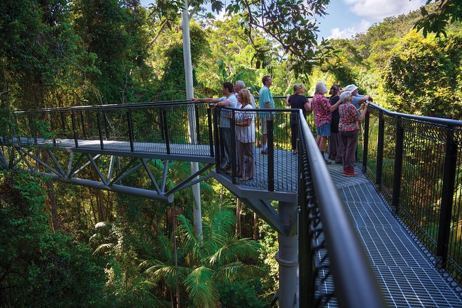 The Best of Tamborine Mountain From the Gold Coast - Guided Tour Highlights and Experiences