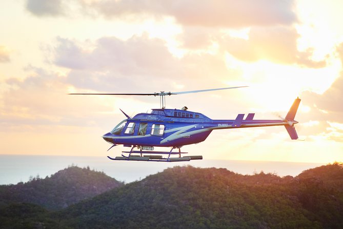 Townsville Helicopter Tour - What to Expect on Board