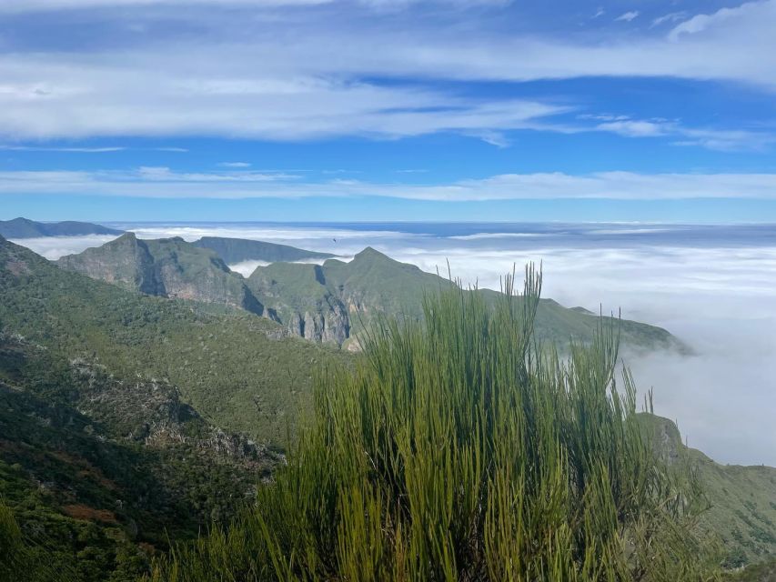 Transfer Sunrise Hike From Pico Areeiro to Pico Ruivo - Booking Details