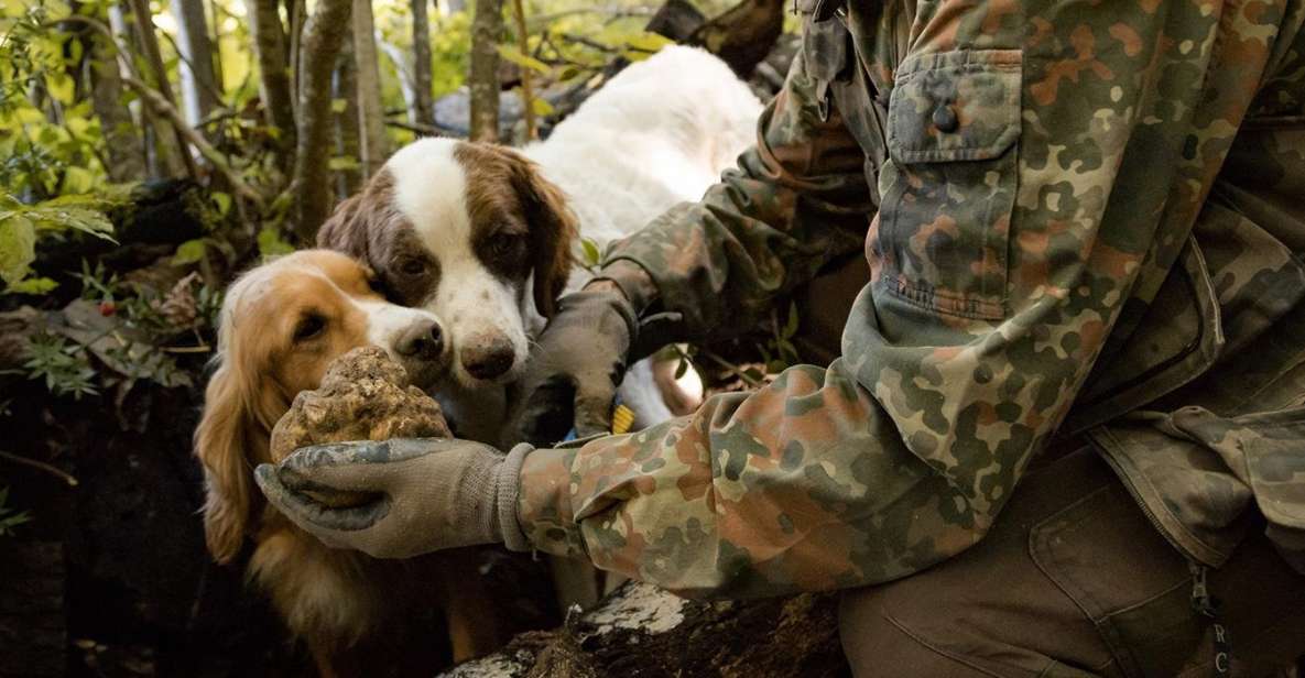 Truffle Hunting in Tuscany With Lunch in the Cellar - Reservations