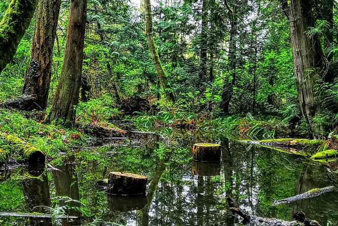 Vancouver Island Rainforest Guided Hike With Private Guide - Booking Information and Policies