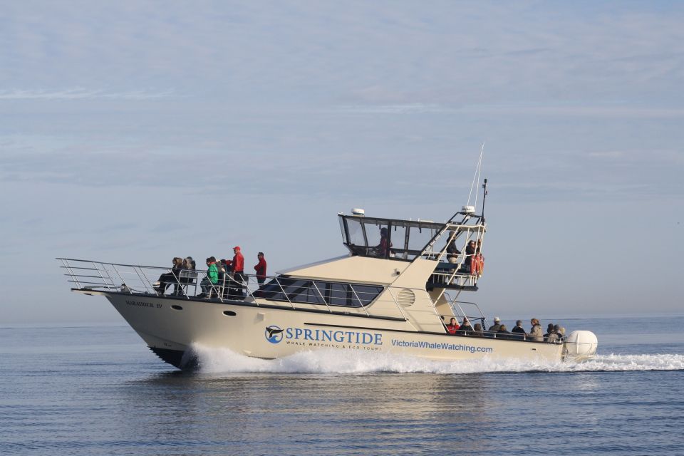 Victoria: 3-Hour Whale Watching Tour - Pricing and Inclusions