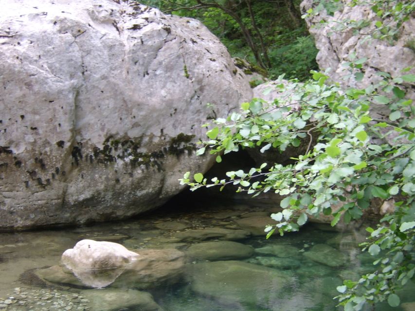 Vikos Gorge Full-Day Guided Hike - Highlights