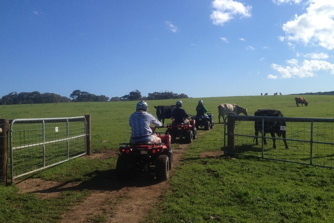 Waitpinga Farm Quad Bike Adventure Tour - What to Expect on Tour