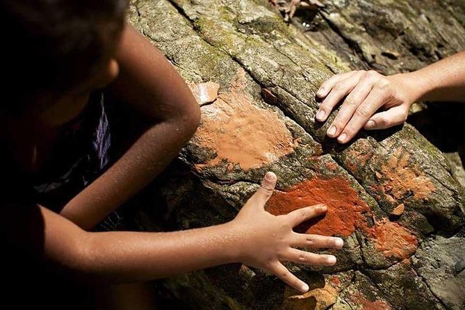 Walkabout Cultural Adventures - We All Stand Together Here Half Day - Explore Daintree Rainforest Secrets