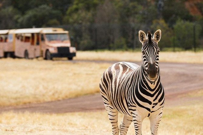 Werribee Open Range Zoo General Admission Ticket - Customer Reviews and Ratings