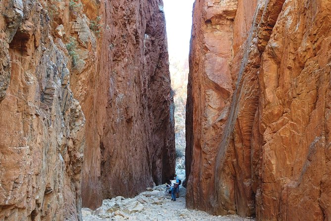 West MacDonnell Ranges Small-Group Full-Day Guided Tour - What to Expect on Tour