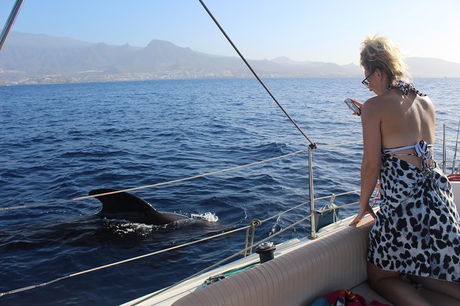 Whale and Dolphin Small Group Sailing From Tenerife South - Inclusions and Amenities