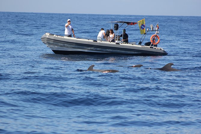 Whale Watching and Marine Science Tour - Inclusions and Amenities