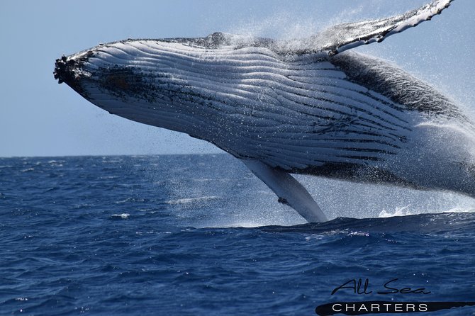 Whale Watching Busselton - Meeting and Pickup Information