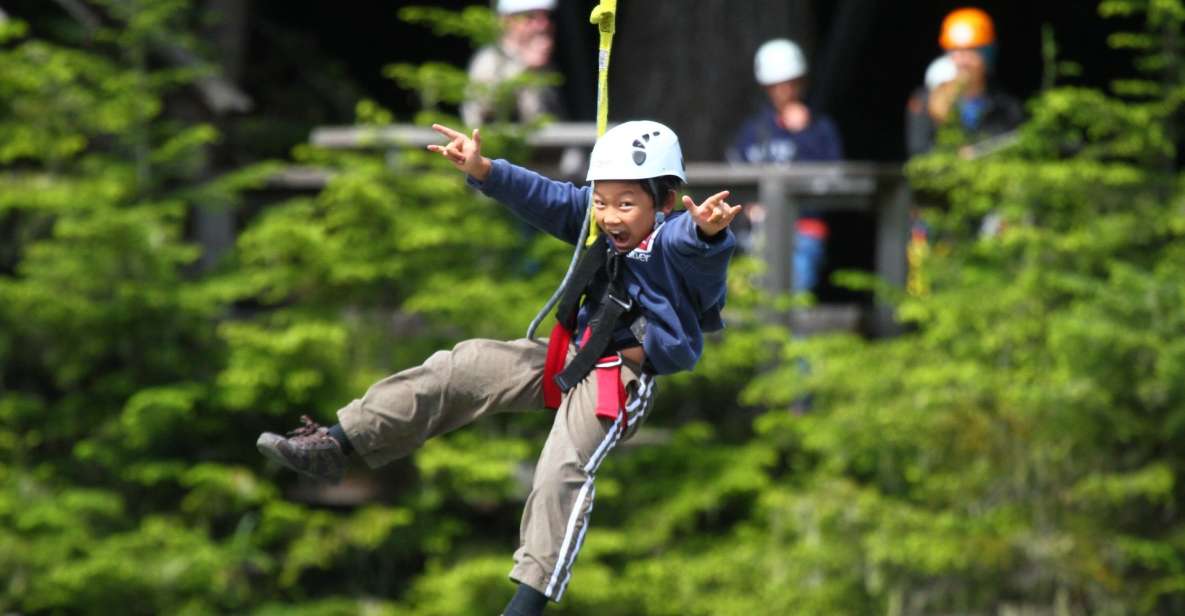 Whistler Zipline Experience: Ziptrek Bear Tour - Tour Description