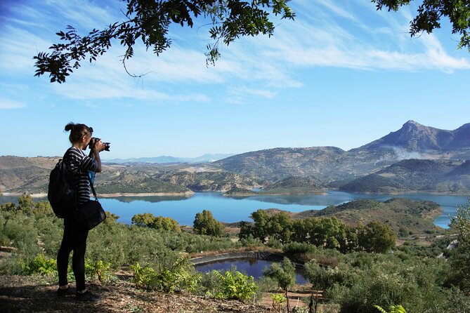 White Villages and Ronda Day Tour From Seville - Tour Highlights