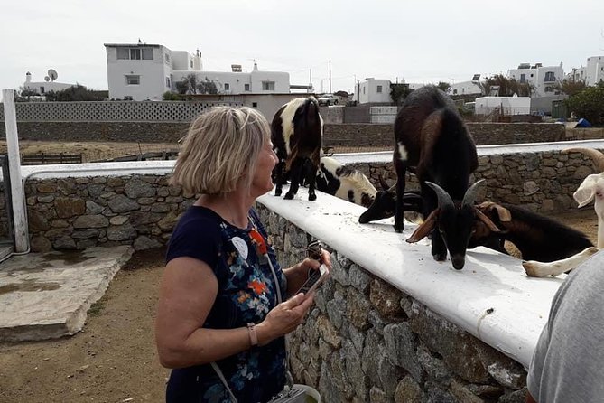 Wine Tasting Tour at a Traditional Farm in Mykonos - Vineyard Experience