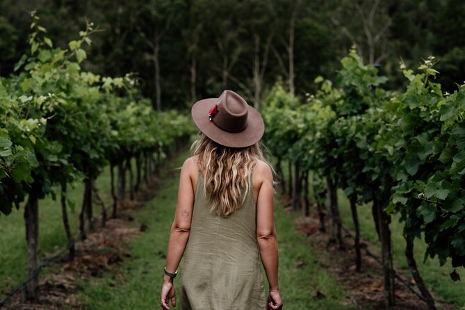 Wine Tasting Tour to Tamborine Mountain - Behind the Scenes of Wineries