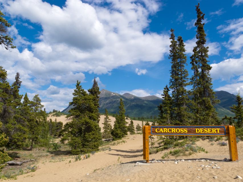 Yukon Escapade: Lakes, Wilderness, and Hidden Gems - Desert Wilderness Exploration