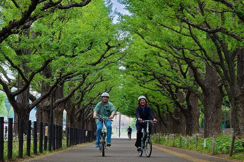 3-hour Private E-bike Tour in Tokyo Starts at Your Hotel - Tour Duration and Cancellation Policy