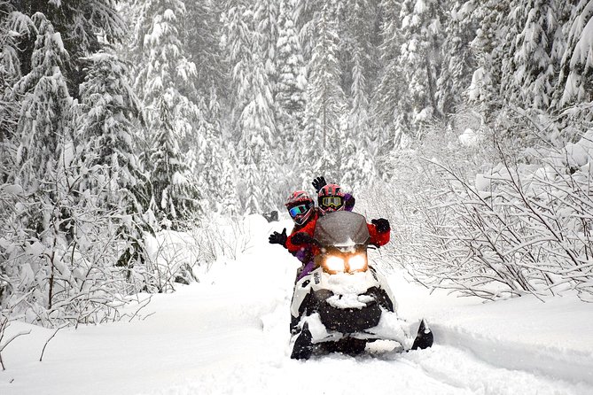 2 Hour Whistler Wilderness Adventure Snowmobile Tour - Customer Feedback and Reviews Access