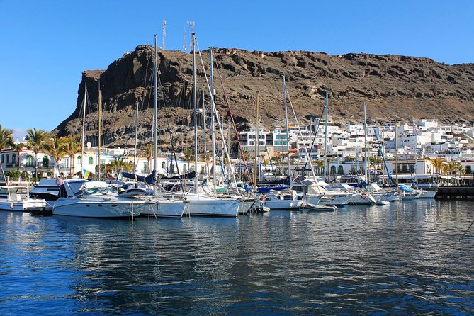 3h Boat Trip + Snorkeling in Puerto De Mogan - Inclusions and Amenities