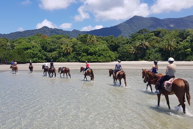 Afternoon Beach Horse Ride in Cape Tribulation - Safety and Precautions