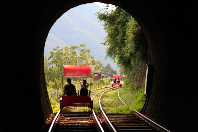 Alpaca World and Nami Island With Gangchon Rail Bike Tour - Gangchon Rail Bike Adventure