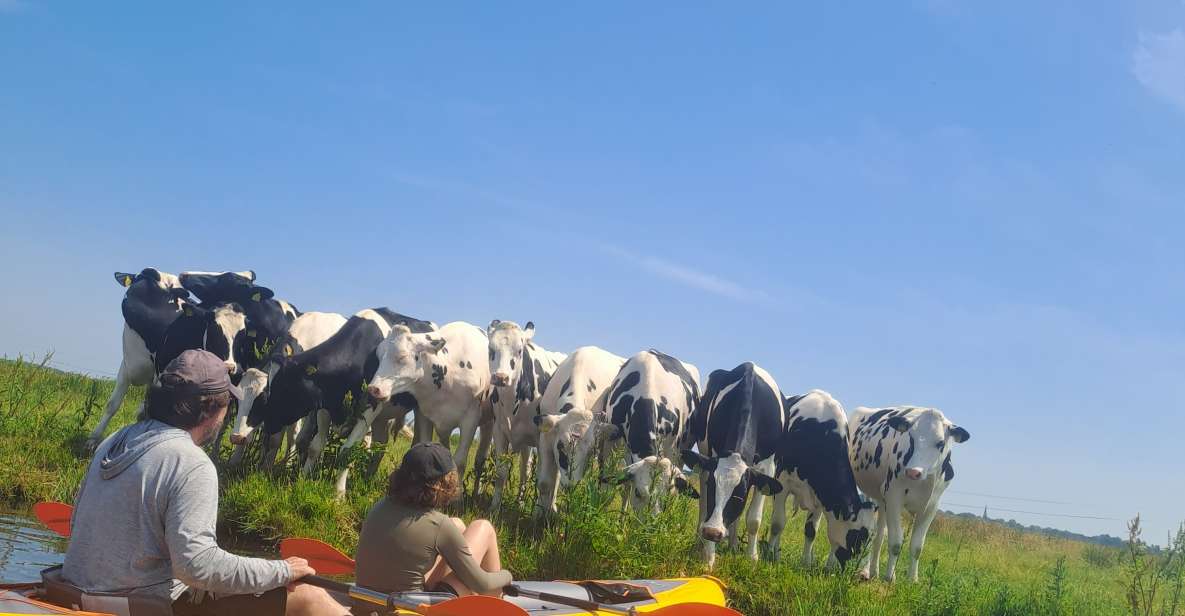 Amsterdam Countryside Bike and Kayak Tour - Inclusions