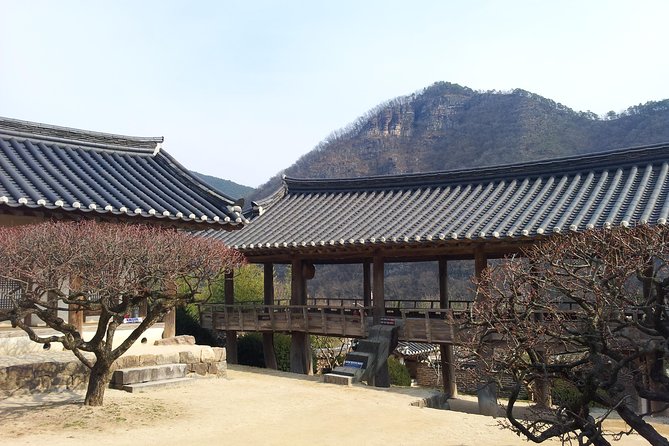 Andong Hahoe Village [Unesco Site] Premium Private Tour From Seoul - Inclusions and Exclusions