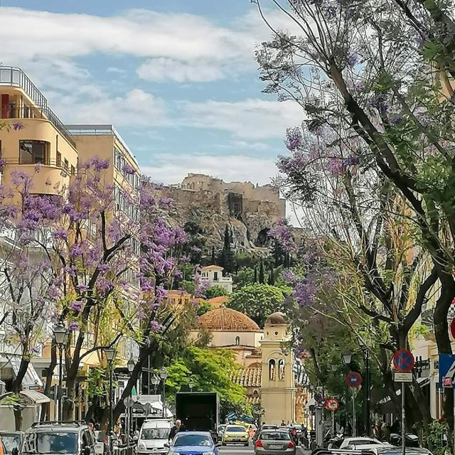 Athens Walking Tour Private - End of Tour