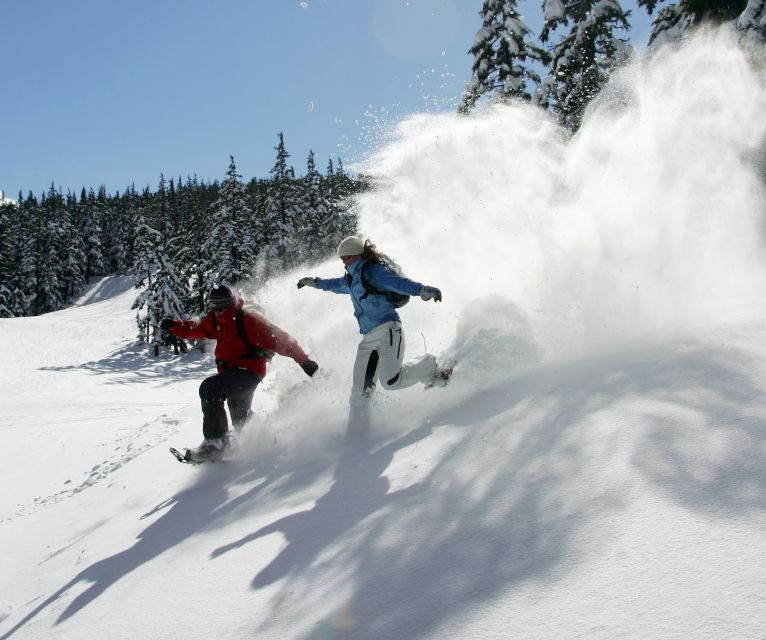 Bend: Half-Day Snowshoe Tour in the Cascade Mountain Range - Customer Reviews