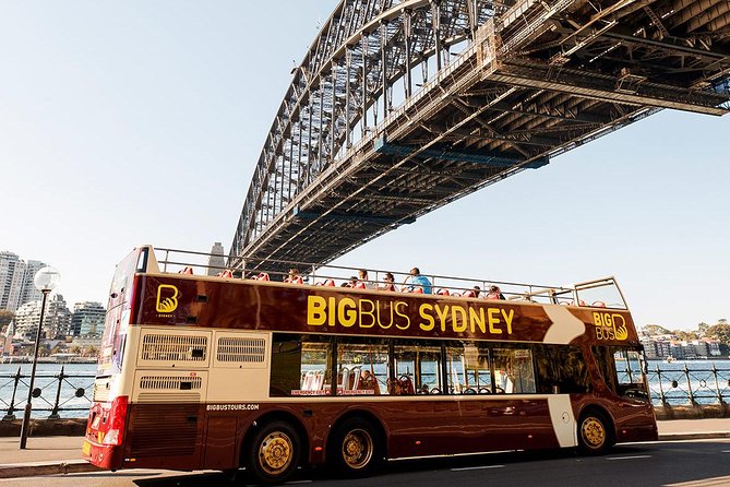 Big Bus Sydney and Bondi Hop-on Hop-off Tour - Customer Reviews and Ratings