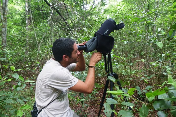 Birdwatching in Sian Kaan and Muyil Archaeological Site From Tulum - Tour Schedule