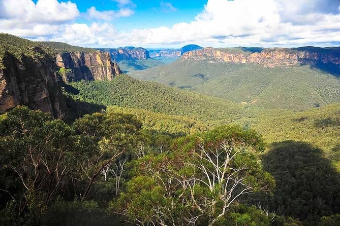 Blue Mountains Private Hiking Tour From Sydney - Physical Demands and Limits