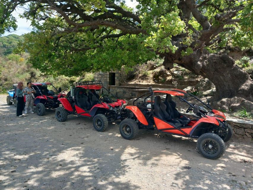 Buggy Safari Half Day 4 Hours 4 Hours ( Hersonissos -Malia) - Tour Inclusions