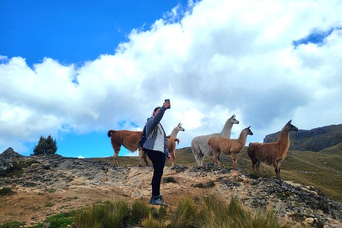 Cajas Unveiled: a Half-Day Escape From Cuenca - Pickup Information and Logistics