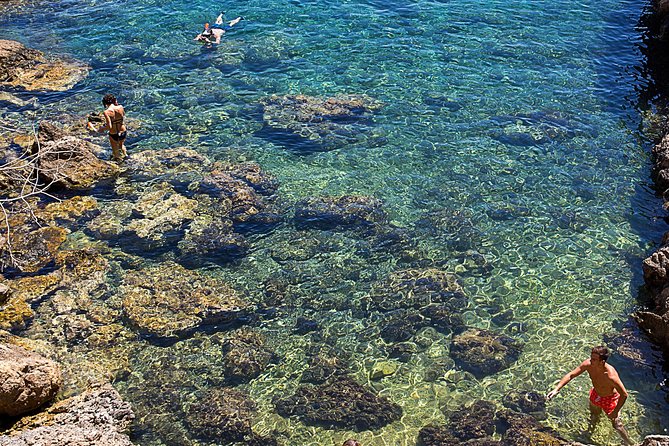 Cala Salada and Unspoiled North Beach Tour. Snorkelling and Aquarium - Cancellation Policy Details