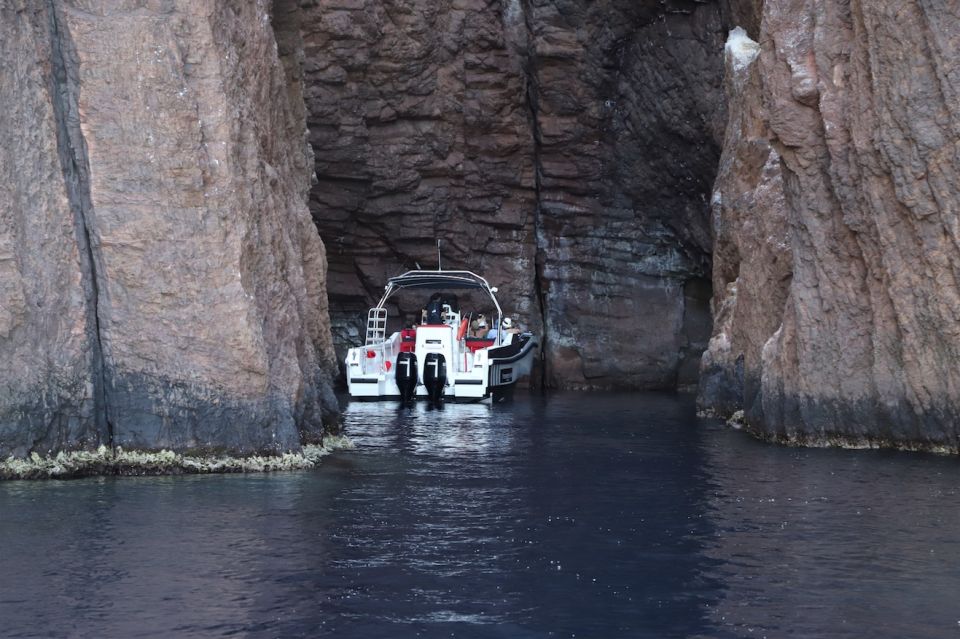 Calvi to Scandola: 4-Hour Boat Tour - Activity Provider and Rating