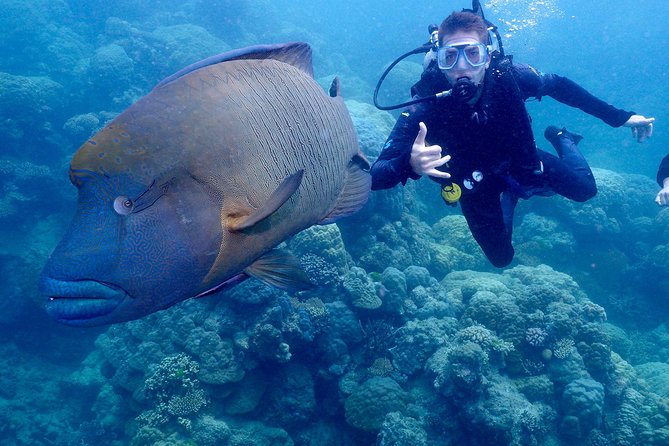 Calypso Outer Great Barrier Reef Cruise From Port Douglas - Meeting Point and Schedule