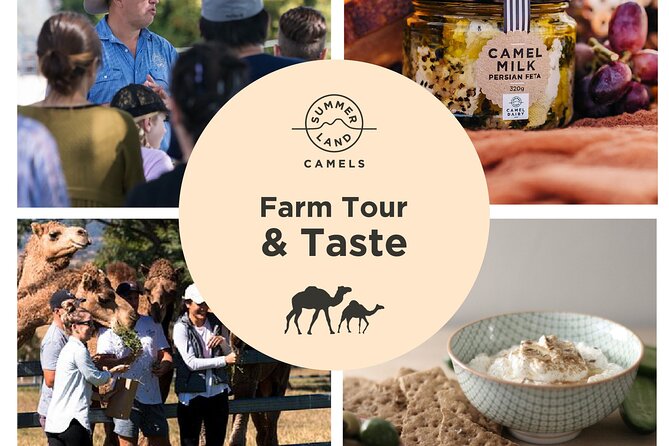 Camel Farm Tour and Taste - Behind the Scenes Dairy Tour