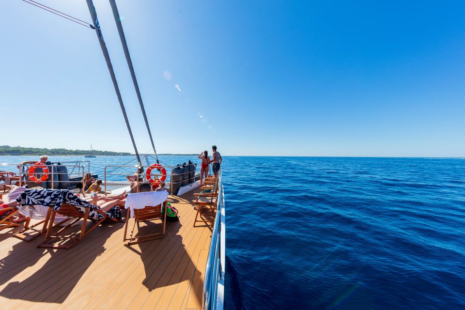 Cannes: Half-Day Catamaran Cruise With Lunch - Provider Information