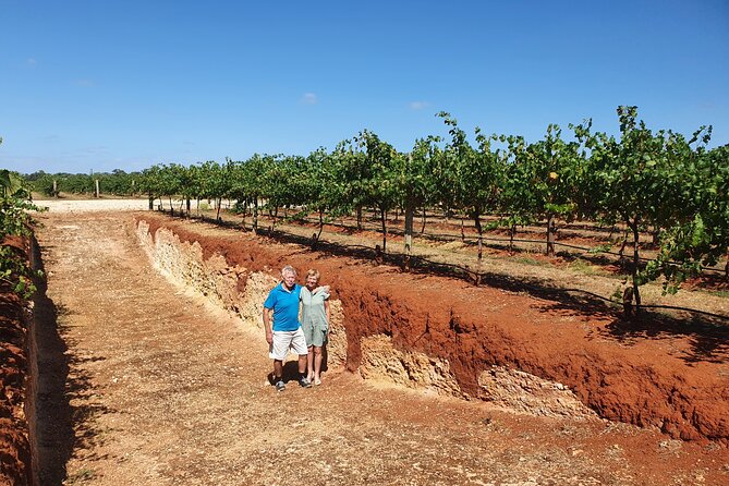 Coonawarra Half Day Wine Tour With Lunch - Traveler Reviews and Ratings