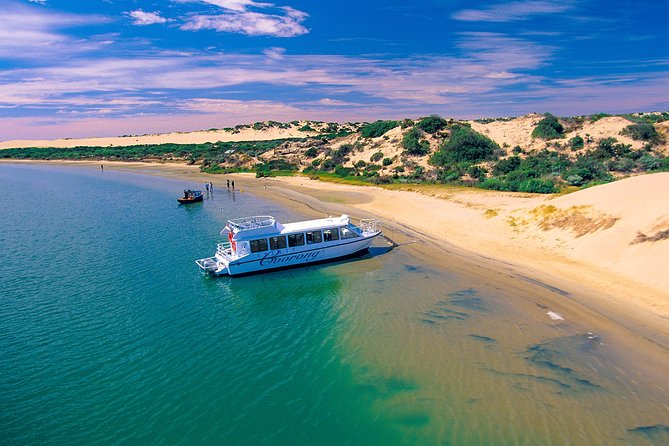 Coorong 3.5-Hour Discovery Cruise - Expert Guides and Commentary