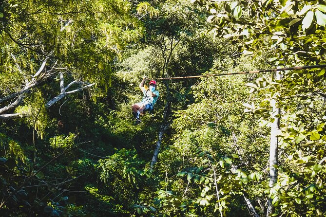 Costa Rica Monkey Jungle Zipline From Tamarindo - Experience Details